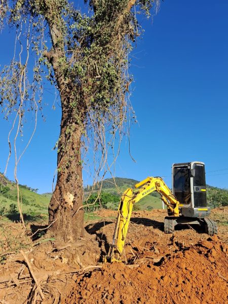 Imagem do WhatsApp de 2025-04-07 à(s) 16.04.06_17ae0985